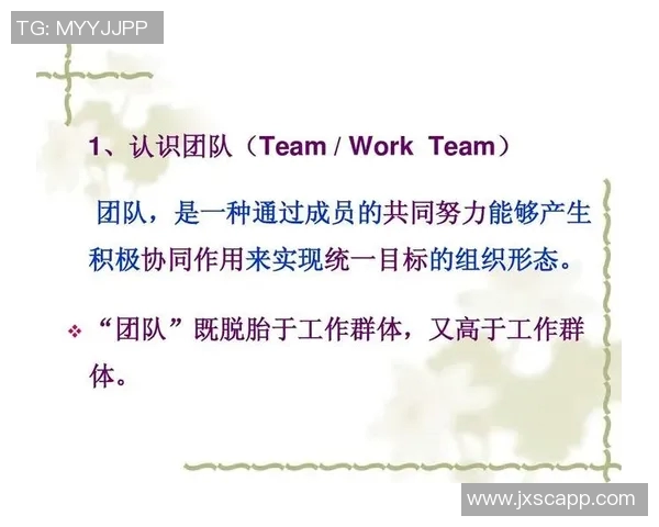 西安足球队进攻体系解析：战术创新与团队协作的完美结合